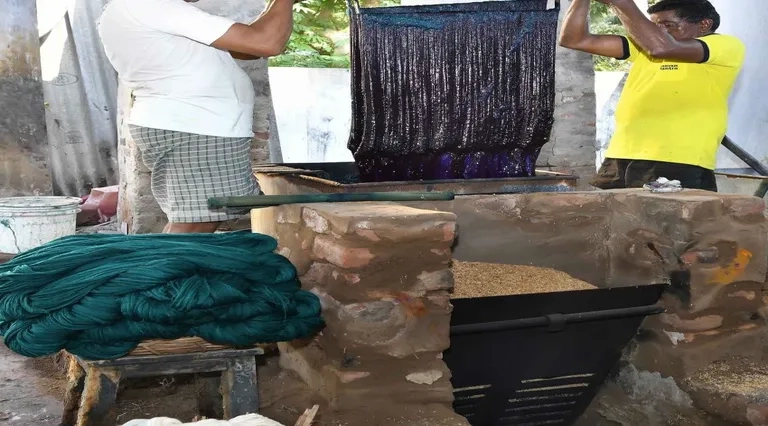 Dyed yarn prepared in colour for the handloom weaving process